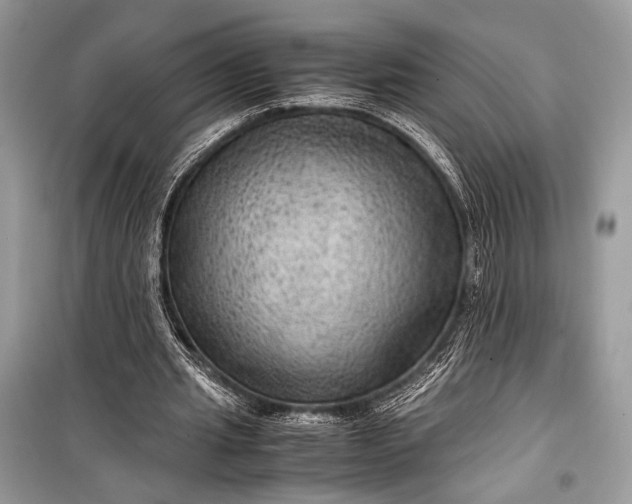 X0000099290437200805161328