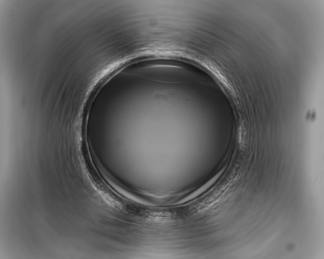 X0000099290438200805161328