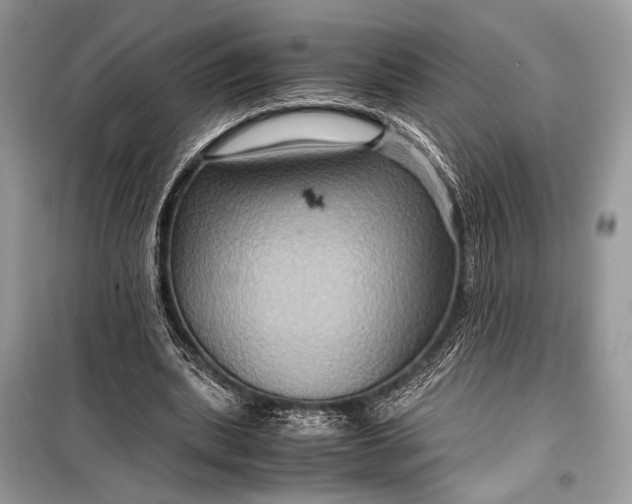 X0000099290439200805161329