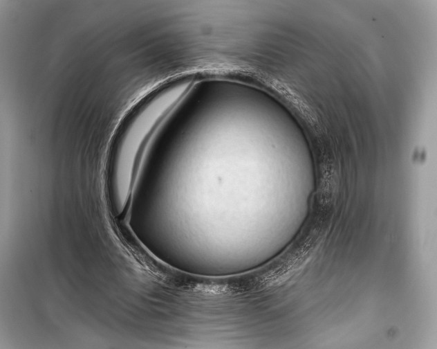 X0000099290440200805161329