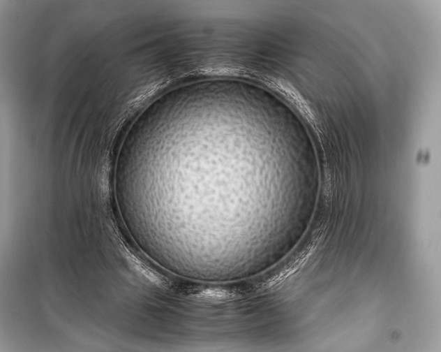 X0000099290441200805161329