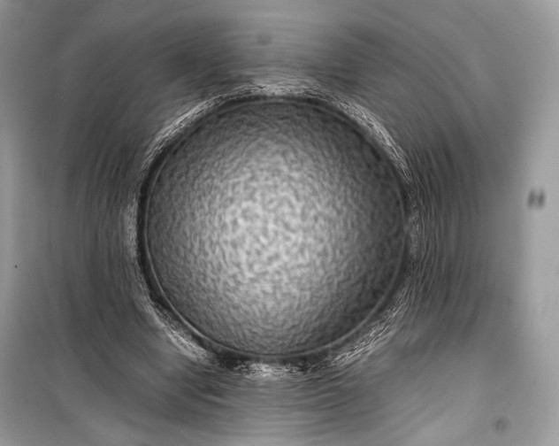 X0000099290442200805161329