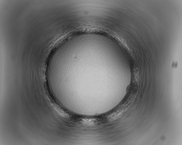 X0000099290450200805161329