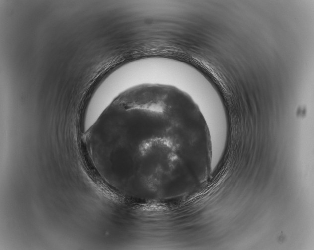 X0000099290451200805161329