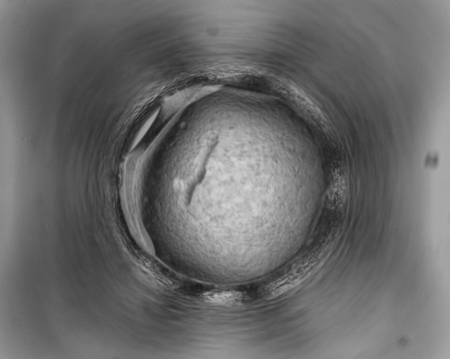 X0000099290452200805161329