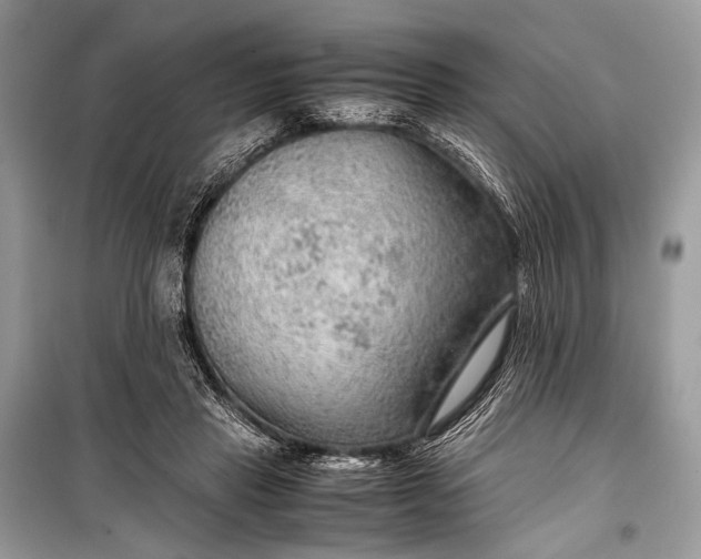 X0000099290453200805161329