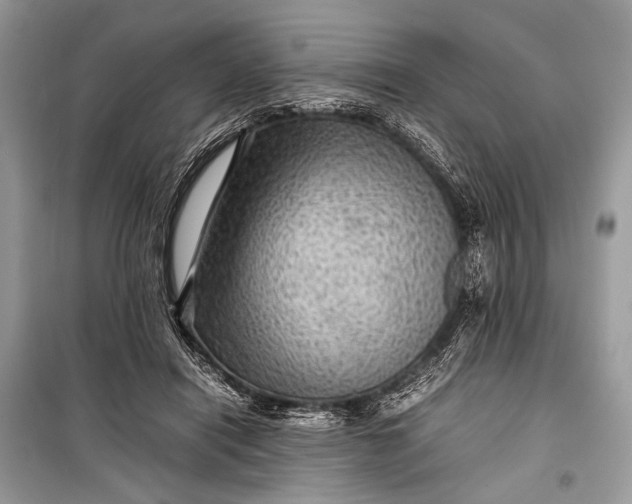 X0000099290454200805161329