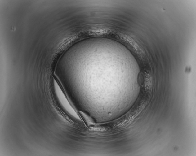 X0000099290455200805161329