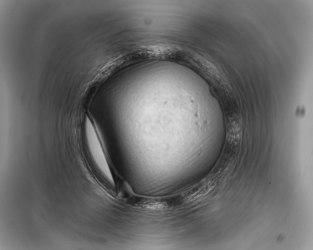 X0000099290456200805161329