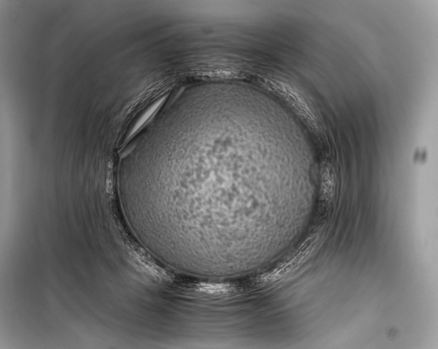 X0000099290457200805161329