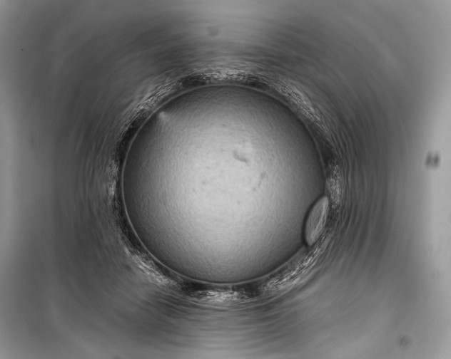 X0000099290458200805161329