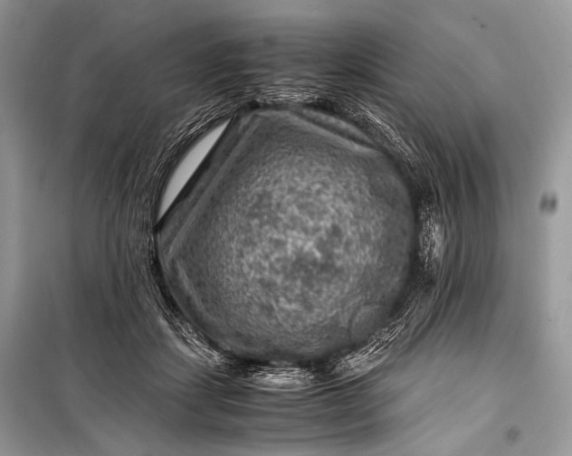 X0000099290459200805161329