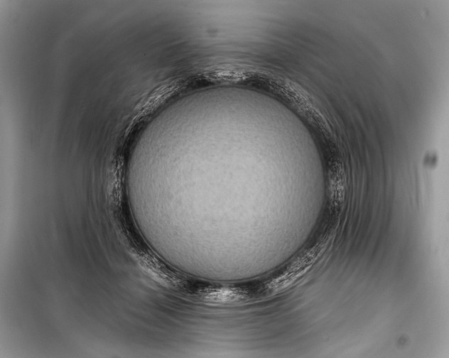 X0000099290460200805161329