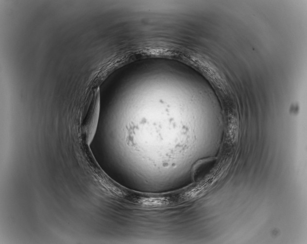 X0000099290461200805161329