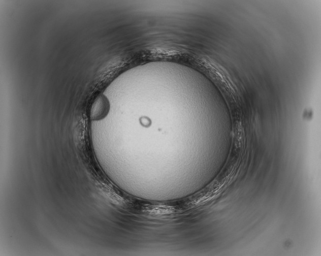 X0000099290463200805161329