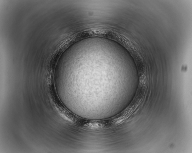 X0000099290464200805161329