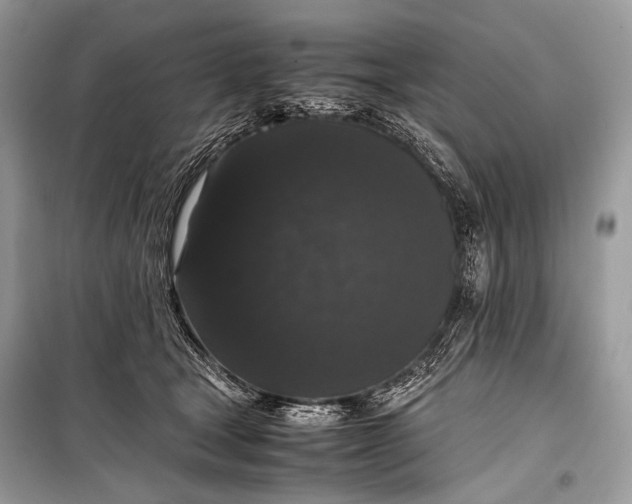 X0000099290465200805161329