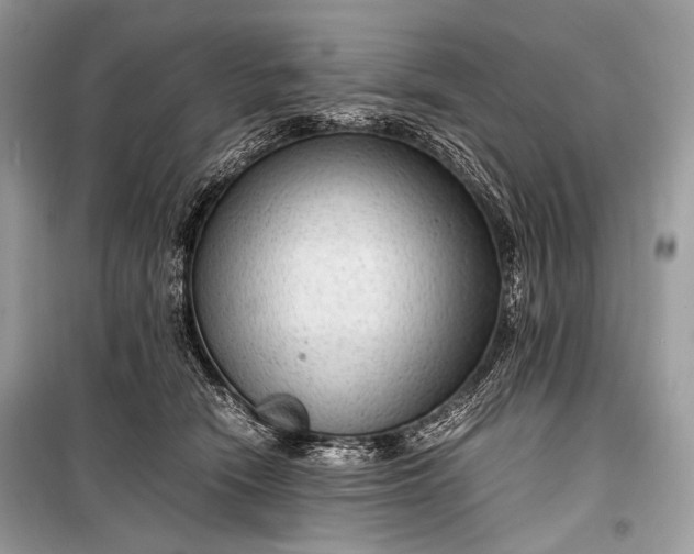 X0000099290466200805161329