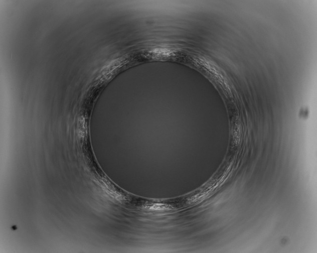 X0000099290467200805161329