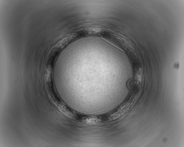 X0000099290468200805161329