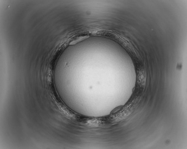 X0000099290470200805161329