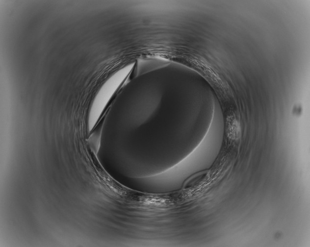 X0000099290471200805161329