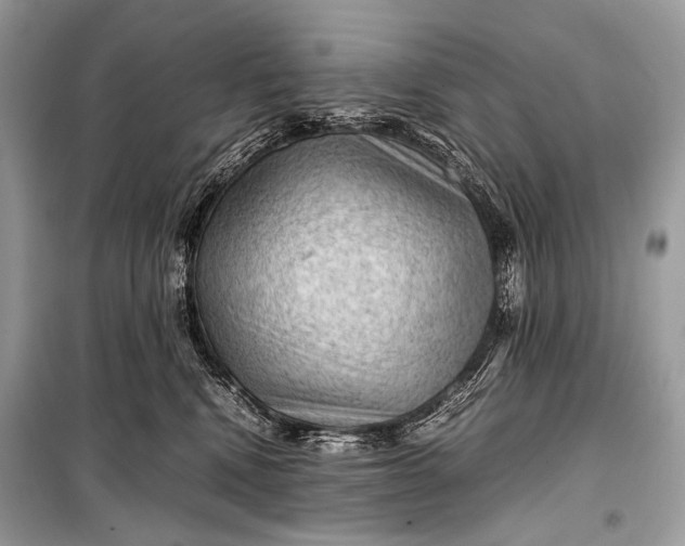 X0000099290472200805161329