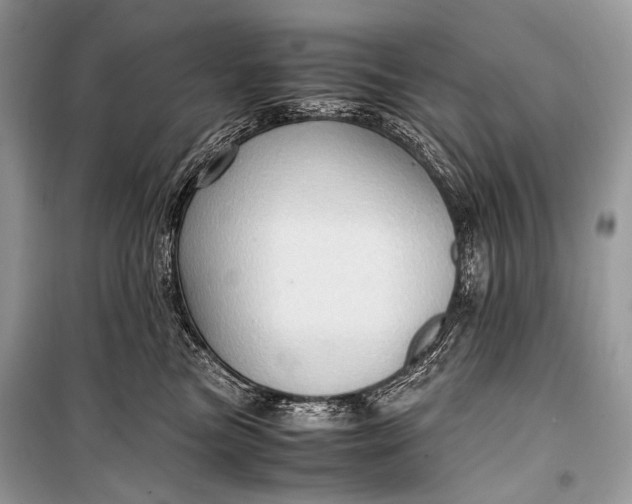 X0000099290473200805161329