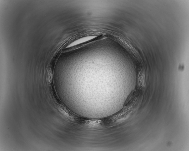 X0000099290474200805161329