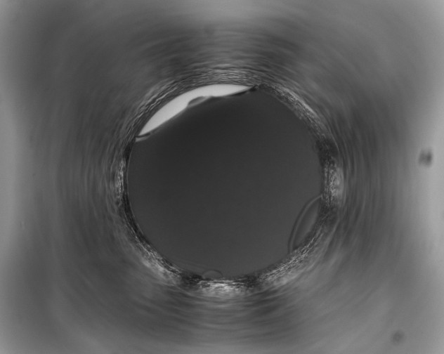 X0000099290475200805161329