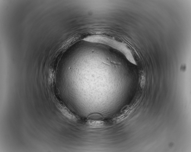 X0000099290476200805161329