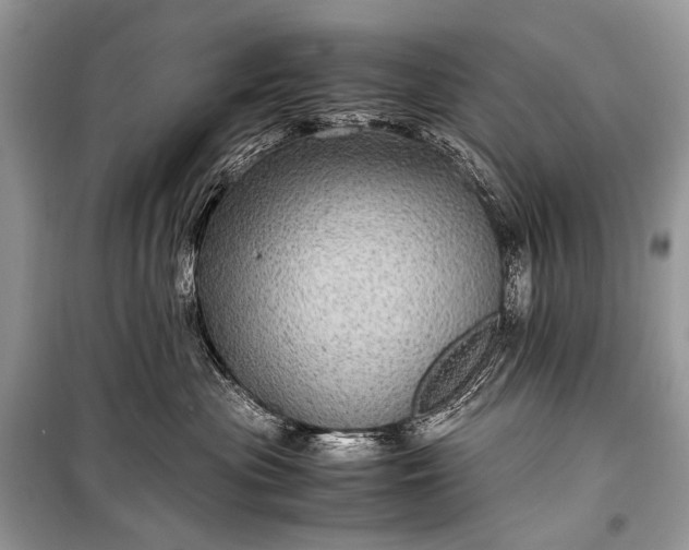 X0000099290477200805161329