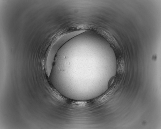 X0000099290478200805161329