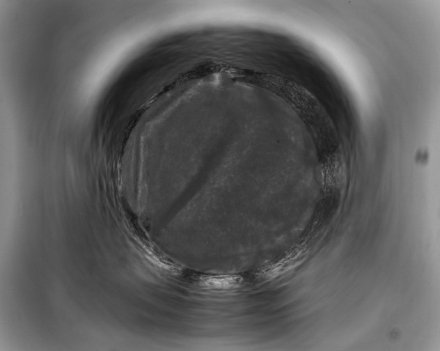 X0000099290479200805161329