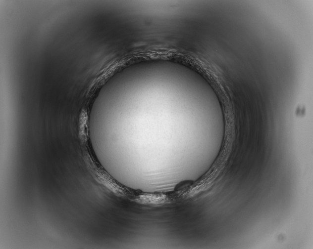 X0000099290480200805161329