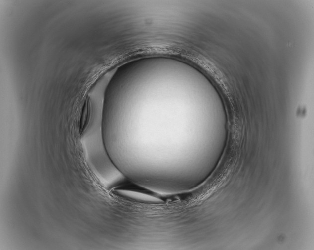 X0000099290481200805161328