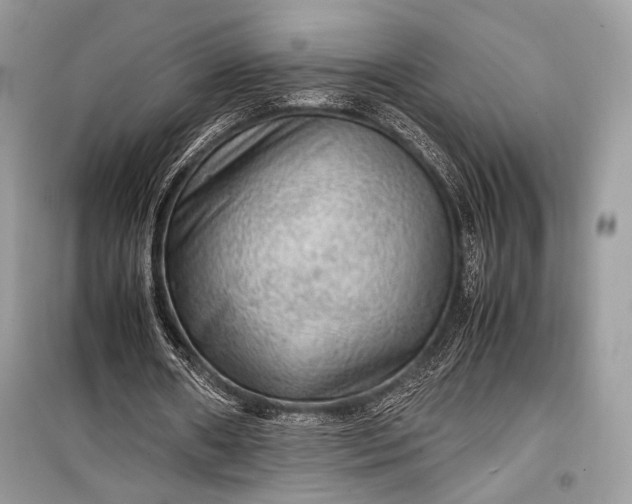 X0000099290482200805161328