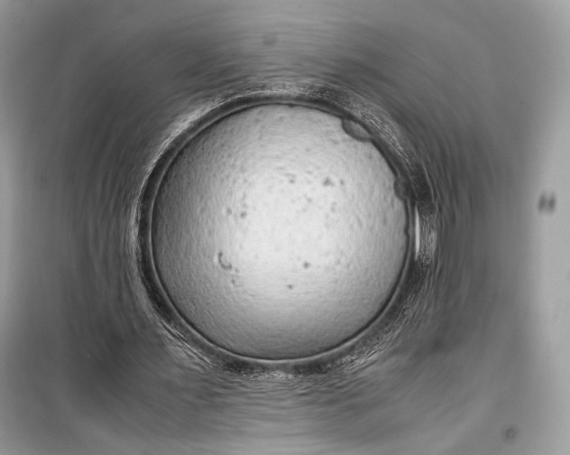 X0000099290483200805161328