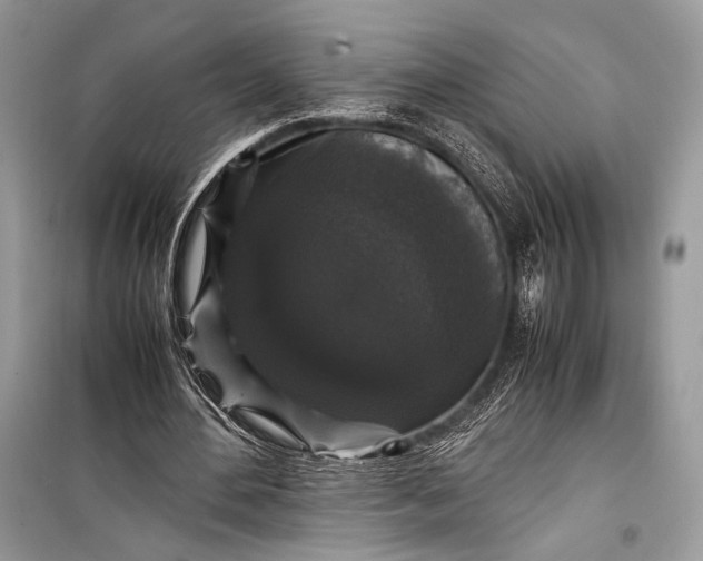 X0000099290484200805161328