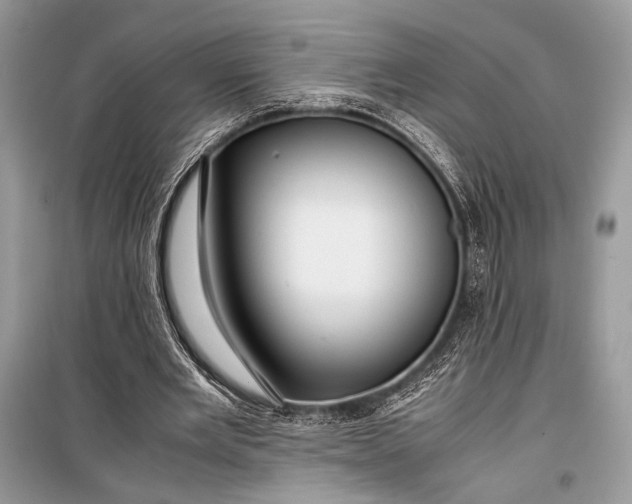 X0000099290485200805161328