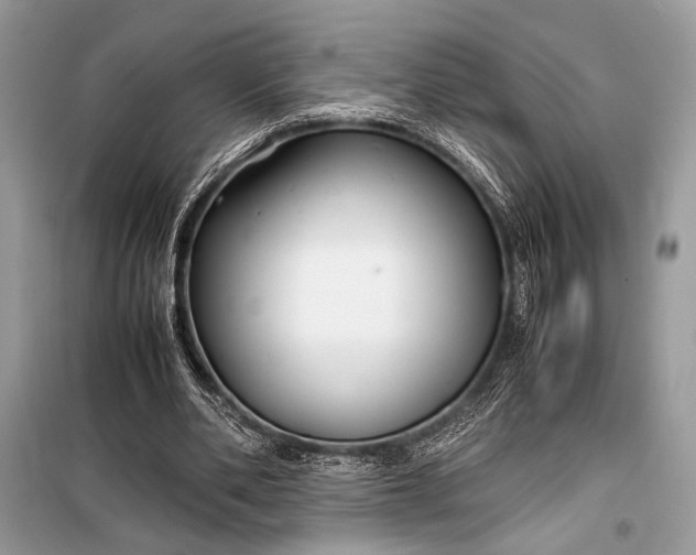 X0000099290486200805161328