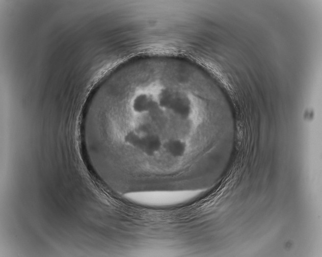 X0000099290487200805161328