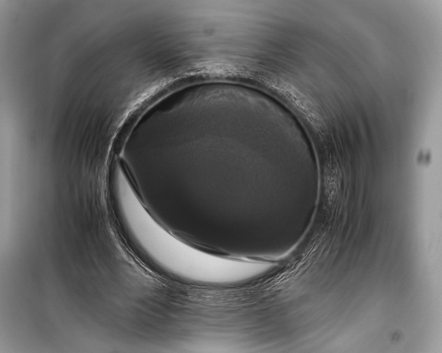 X0000099290488200805161328