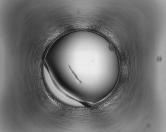 X0000099290489200805161328