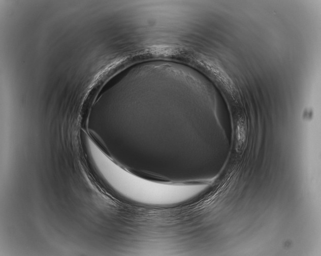 X0000099290492200805161328