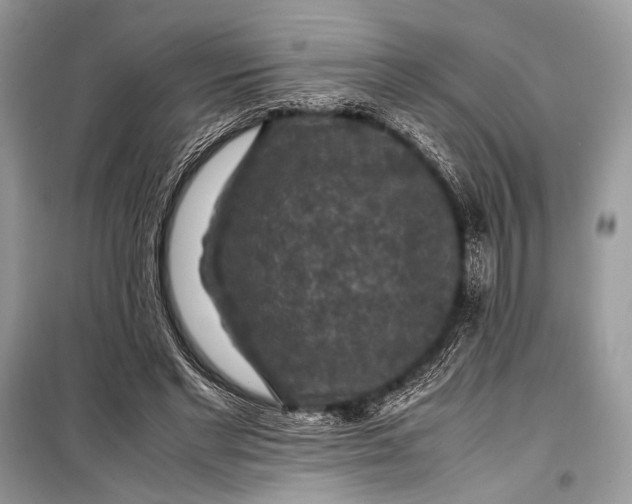 X0000099290493200805161328