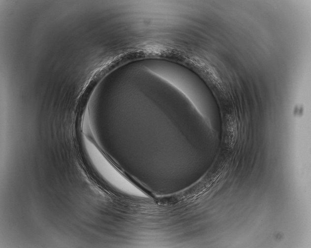 X0000099290496200805161328