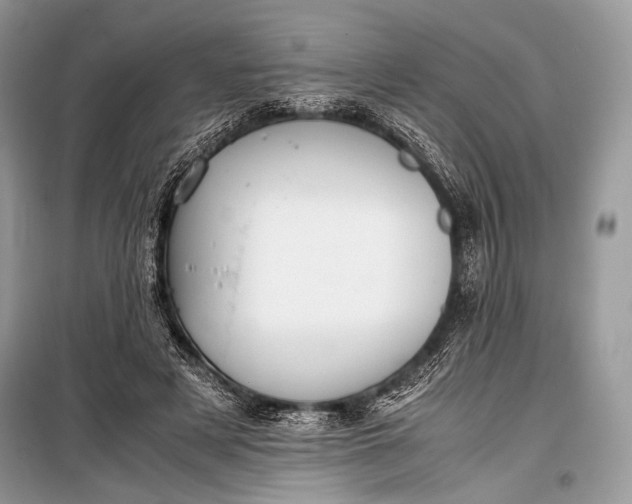 X0000099290497200805161328