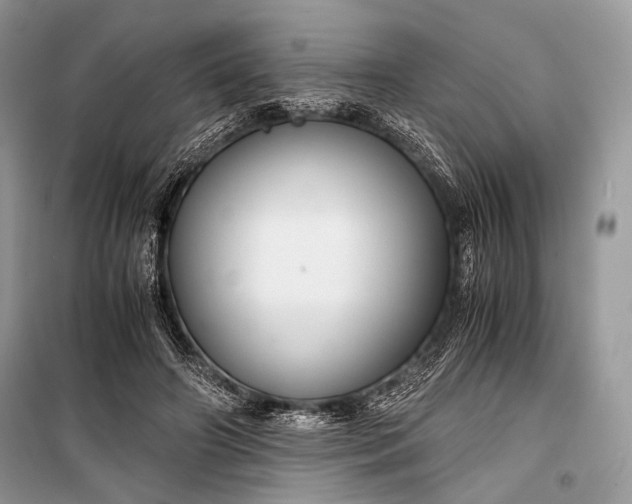 X0000099290498200805161328