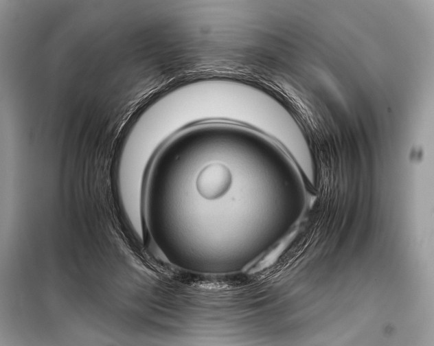 X0000099290500200805161328